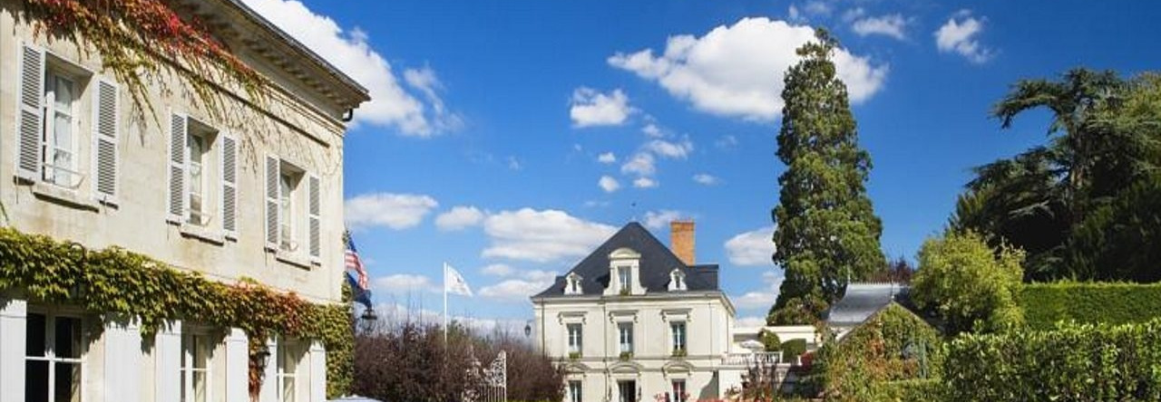 Hotel Le Choiseul, Амбуаз — фото 1