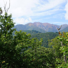 Guesthouse Ant Hut, 白川村 — 照片 4
