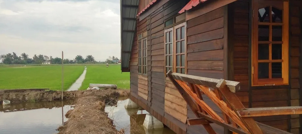 D'Sawah Bendang Homestay, Sungai Besar — photo 1