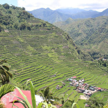 Hillside Inn and Restaurant, Banaue — photo 2