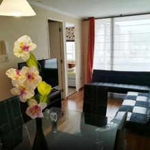 Departamento Caburgua Temuco, 特木科 — 照片 5