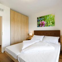Apartment in Zsira Near Thermal Spa, 格德科 — 照片 4