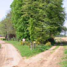 BergOpwaerts, Swalmen — photo 3