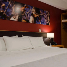 Concept Hotel - Centro Zamora, 萨莫拉 — 照片 5