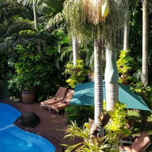 African Ambience Guest House, 圣卢西亚 — 照片 2