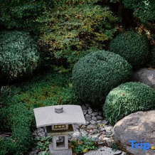 Tang Jingze Onsen Hotel, Dalian — photo 2