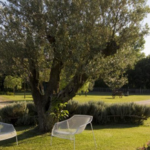 Country House Biroccio, 阿尔巴内拉 — 照片 5