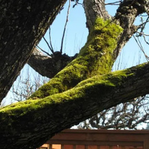 3 Gables B & B, Comox — photo 4
