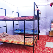 Kalpa Vriksh - KUMBH 2019, 奈尼 — 照片 2