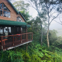 The Polish Place, 坦伯林山 — 照片 3