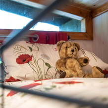 Bluebell Lodge Set In A Beautiful 24 Acre Woodland Holiday Park, Сенарт — фото 4