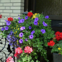 4 Sterne Ferienwohnung 140 qm im Haus Tina, 圣安德烈亚斯贝格 — 照片 3