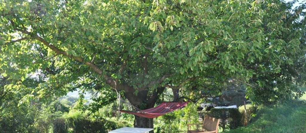 Gite Abricotier, Crozes-Hermitage — photo 1
