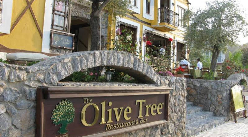 Olive Tree Studio, 凯西莱尔 — 照片 1