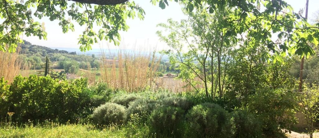 Domaine Fontaine, Visan — photo 1