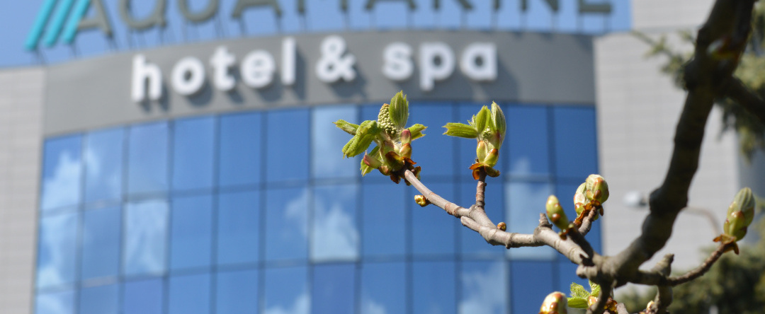Aquamarine Hotel&Spa, Курск — фото 1