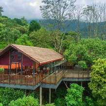 Vythiri Mist Resort, Vellamunda — photo 3