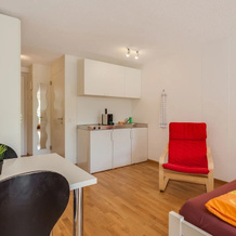 Business Apartments Anstatthotel, 卢塞恩 — 照片 4