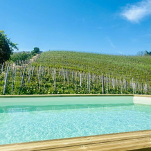 Madama Langa Country House con piscina nelle vigne, 蒙特卢波阿尔贝塞 — 照片 5