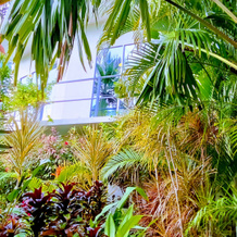 Modara Villa, 兰纳 — 照片 5