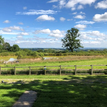 Heron View Lodge, Shepton Mallet — photo 2