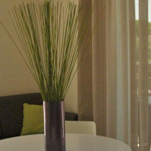Bio Suites Pacinotti, 巴多利诺 — 照片 4