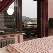 Hotel Landhaus zur Badischen Weinstraße, Dottingen — photo 4