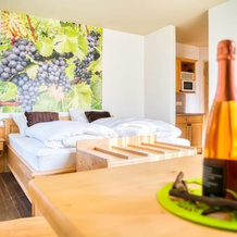 Gästehaus Weingut Politschek, 雅格斯特费尔德 — 照片 5