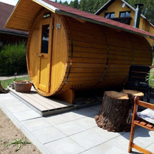 Holiday Home With Sauna Thuringian Forest, 利希特塔尔·阿姆·伦施泰格 — 照片 5