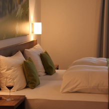 Benz Weingut & Weinhotel, Лауда — фото 2