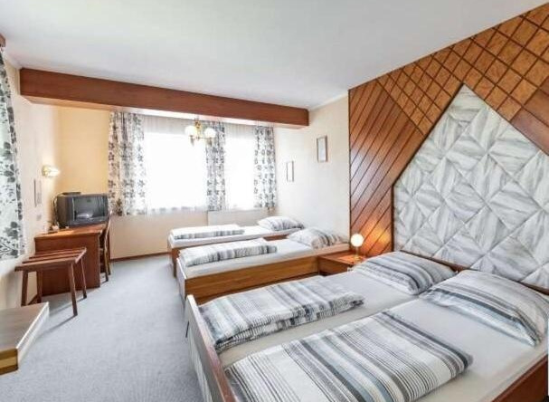 Austria Traveller Hotel Lenzing, 阿特湖畔舍夫灵 — 照片 1