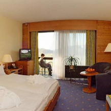 Arcadia Hotel Sonnenhof Grafenau, 格拉弗瑙 — 照片 2