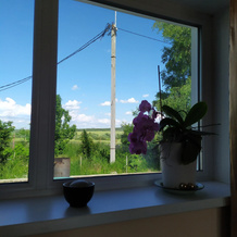 Uyutny Vozle Lesa Guest house, Pereslavl-Zalesskiy — photo 5