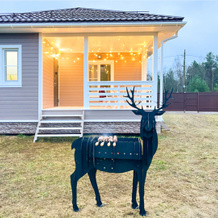 Dreamstayspb Skandi Dom S Fotozonami I Saunoy U Zaliva Private house, Zelyonaya Roshcha — photo 2