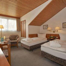 Parkhotel Frankfurt-Rödermark, 勒德马克 — 照片 4
