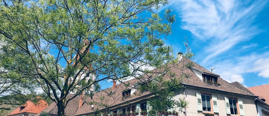 Aux Deux Cigognes Ammerschwihr, 阿默什维尔 — 照片 1