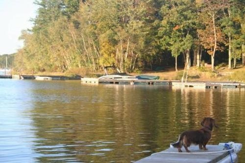 Lakeside Country Cottages, Hawley — photo 1