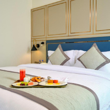 Pride Hotel Udaipur, Удаипур — фото 3