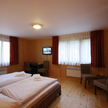 Beltine Forest Hotel, Остравице — фото 4