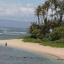 Molokai Shores 121, Каунакакаи — фото 4