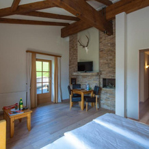 Hotel Bürglhöh, 比绍夫斯霍芬 — 照片 5