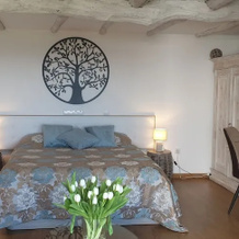 Casa BelaVista Penela Portugal, 佩内拉 — 照片 3