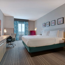 Hilton Garden Inn Tampa Northwest/Oldsmar, Oldsmar — photo 3