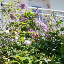 Chambre Avec Jardin Pierre Curie, 巴黎门 — 照片 5