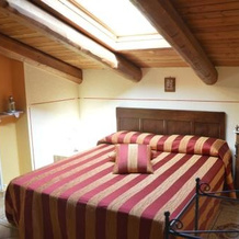 Agriturismo Il Nido di Bacco, 萨卢佐 — 照片 3