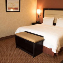 Hampton Inn by Hilton Ciudad Victoria, 维多利亚城 — 照片 4