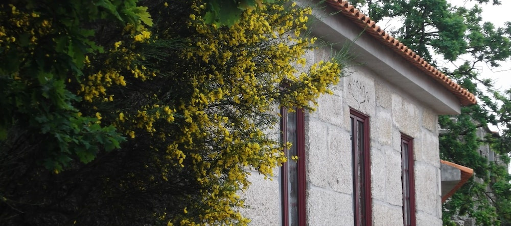 Casa do Tear, 阿格达 — 照片 1