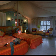 Pench Jungle Camp, Turiya — photo 3