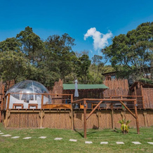 BubbleSky Glamping 15 min from Medellin, Rionegro — photo 5