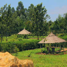 Nguge Hills Lodge & Wellness Retreat, Siaya — photo 4